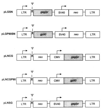 FIG. 1