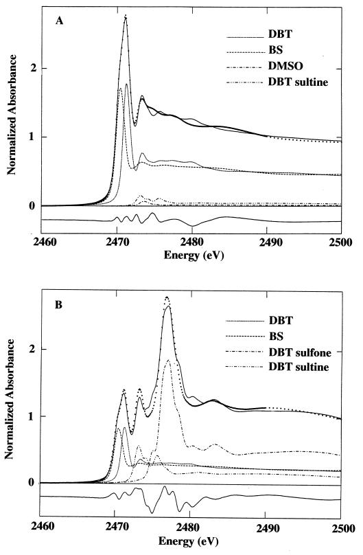 FIG. 6