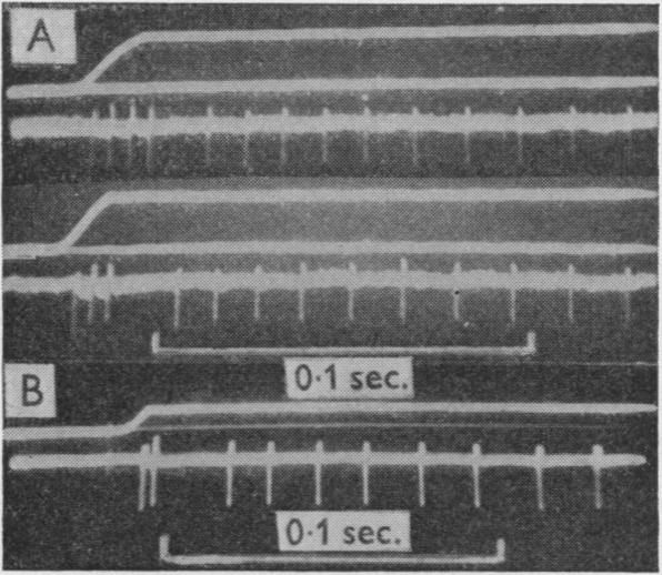 Fig. 14