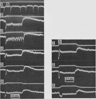 Fig. 13