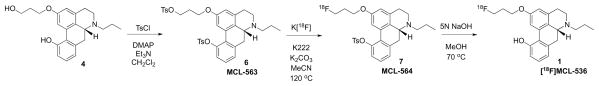 Scheme 2