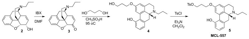 Scheme 1