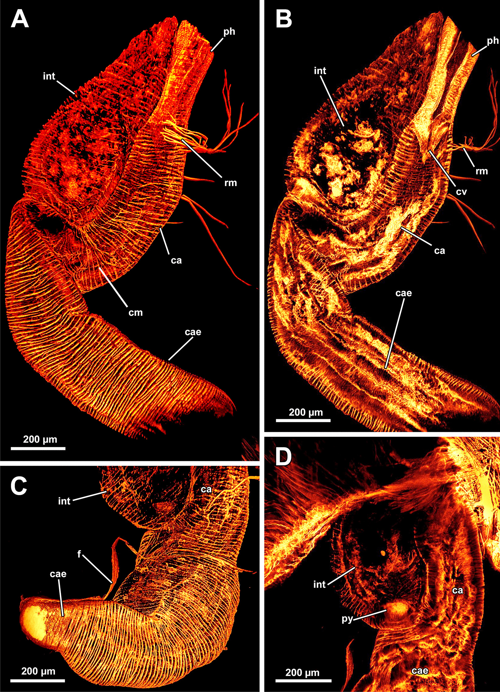 Fig. 7