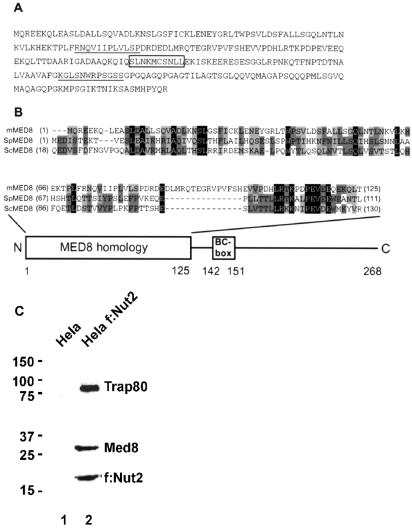 Fig 1.