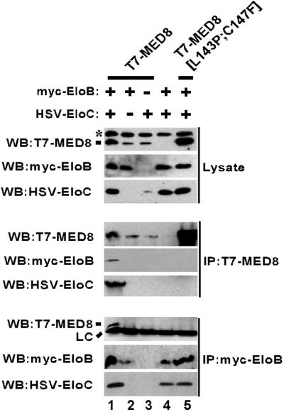 Fig 2.