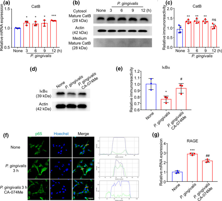 FIGURE 3