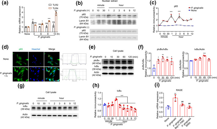 FIGURE 2