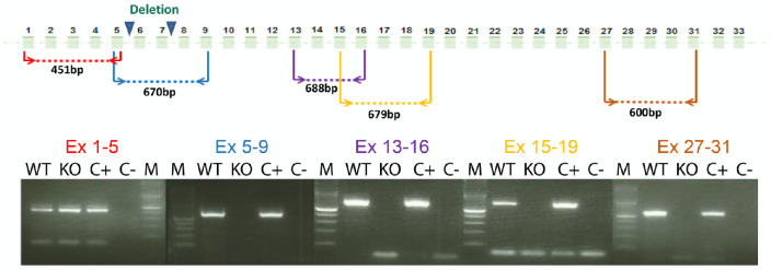 Figure 2.