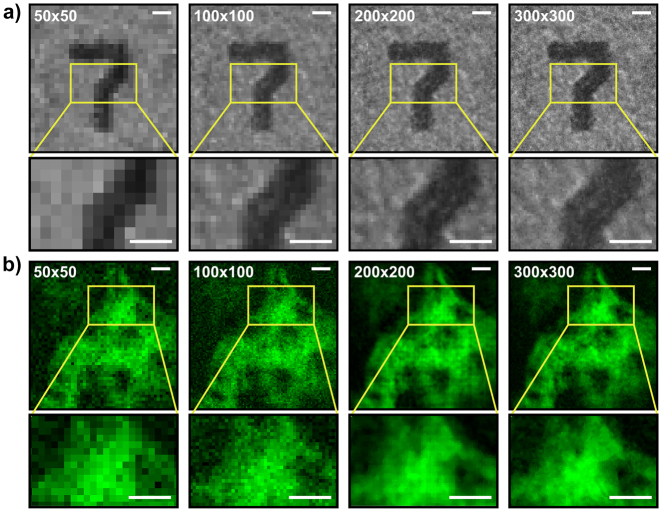 Figure 3: