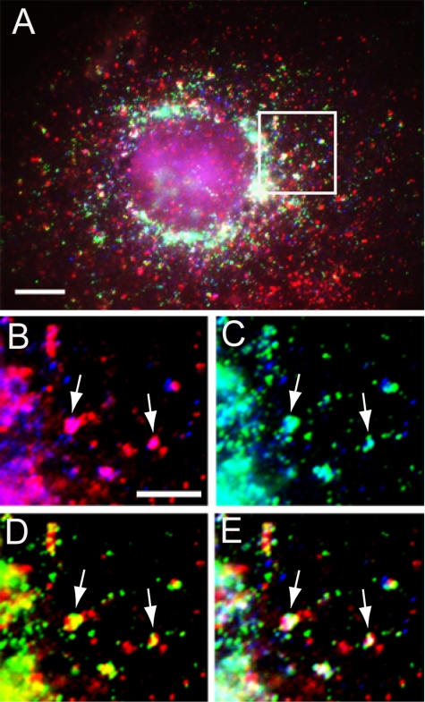 Figure 5.