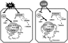 Fig. 11.