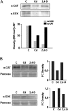 Fig. 10.