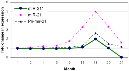 Figure 12