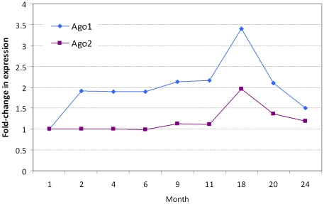 Figure 13