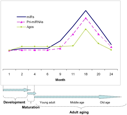 Figure 16