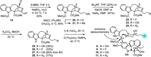 Scheme 2