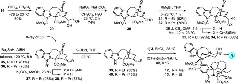 Scheme 3