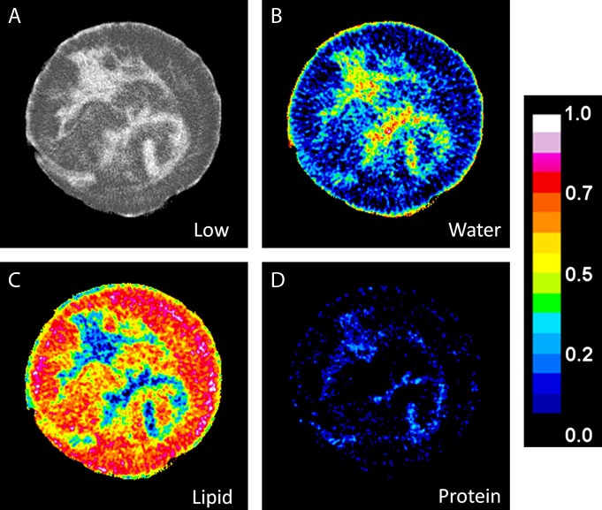 Figure 3: