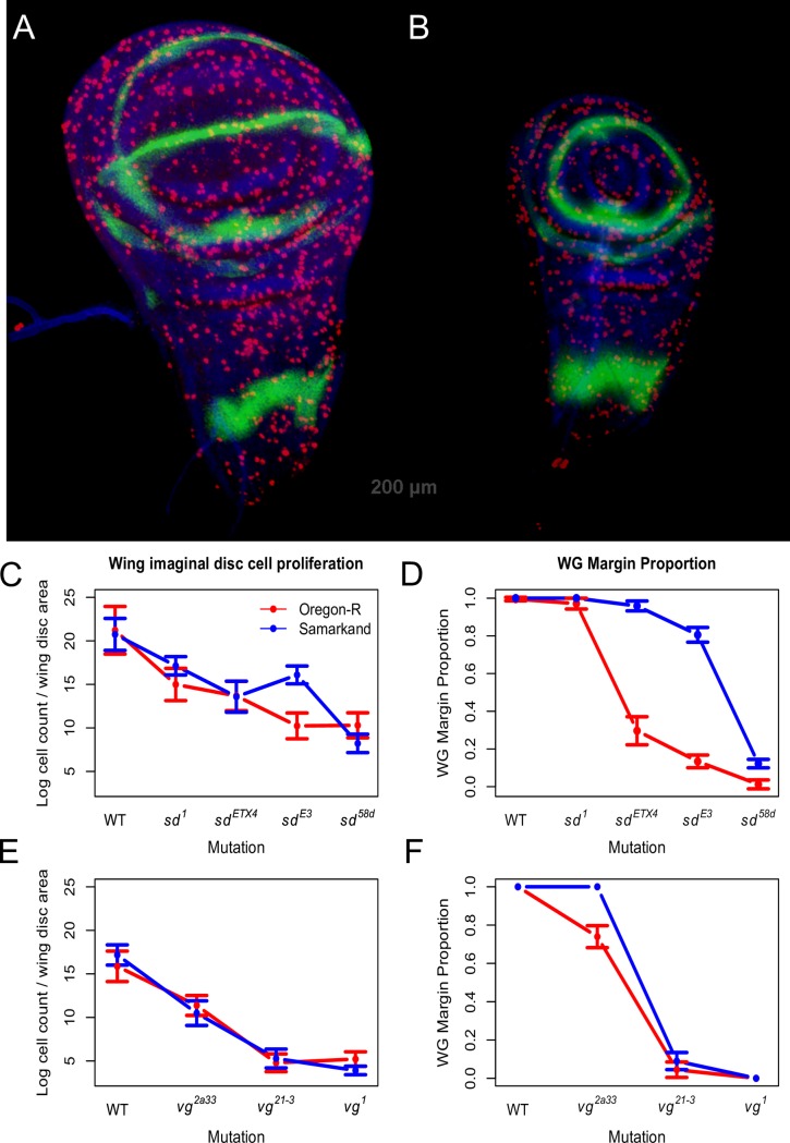 Fig 6