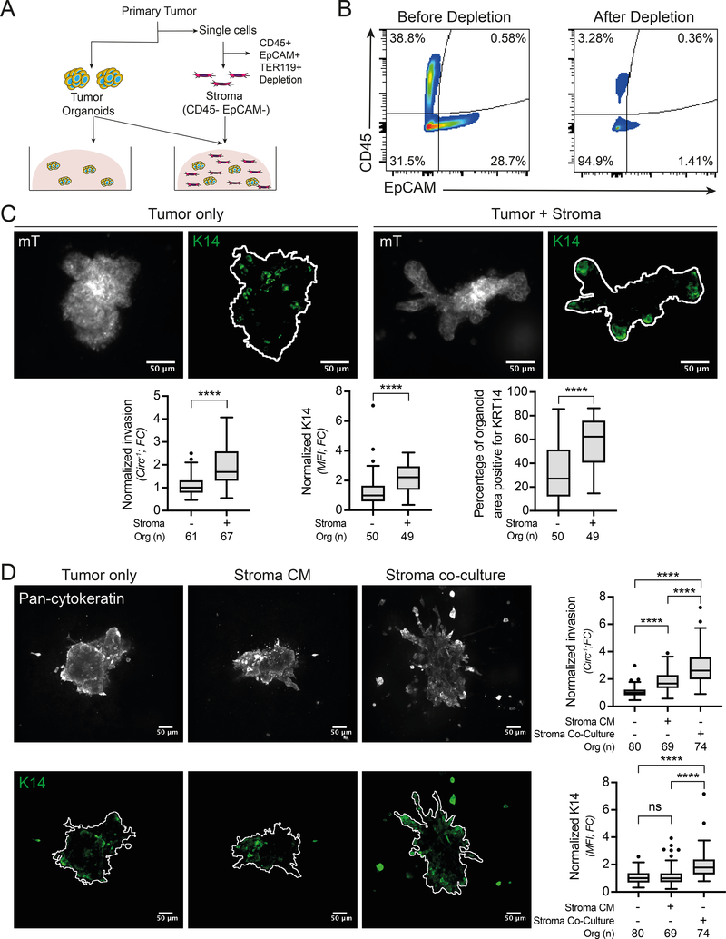 Figure 2: