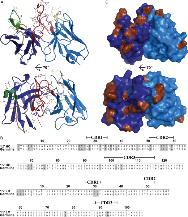 Fig. 4.