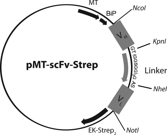 Fig. 1.