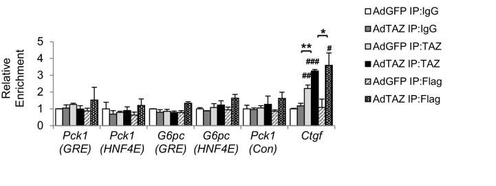 Figure 6—figure supplement 1.