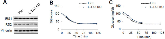 Figure 2—figure supplement 5.