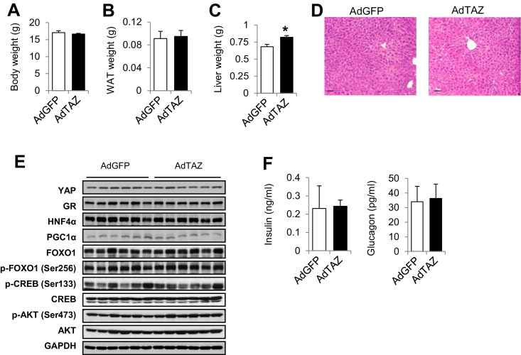 Figure 3—figure supplement 2.