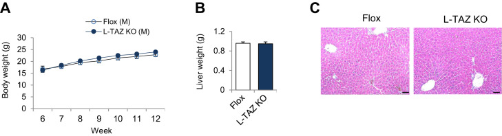 Figure 2—figure supplement 4.