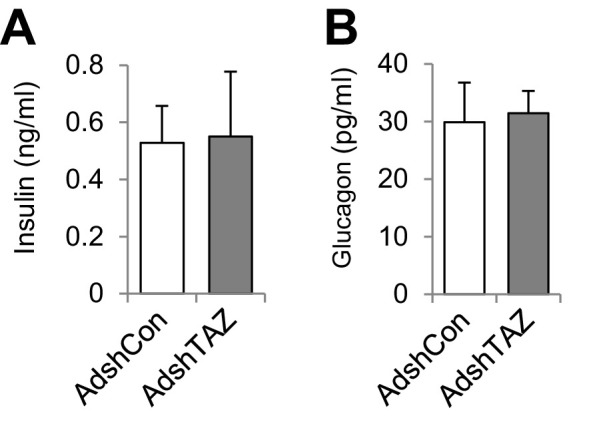 Figure 2—figure supplement 3.