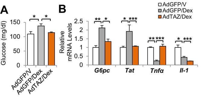 Figure 6—figure supplement 2.