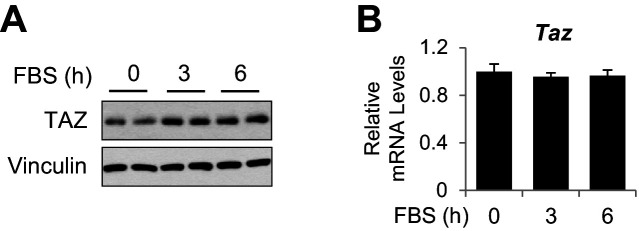 Figure 1—figure supplement 3.