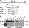 FIG. 2.