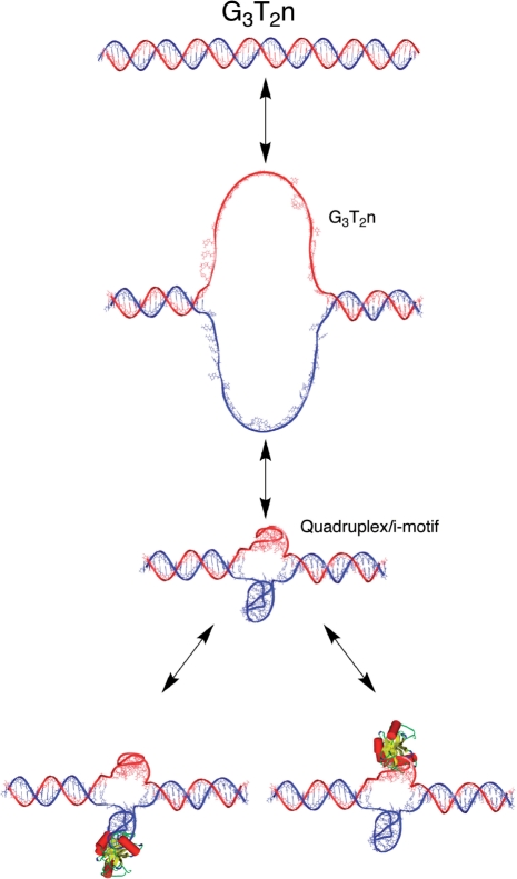 Figure 9.