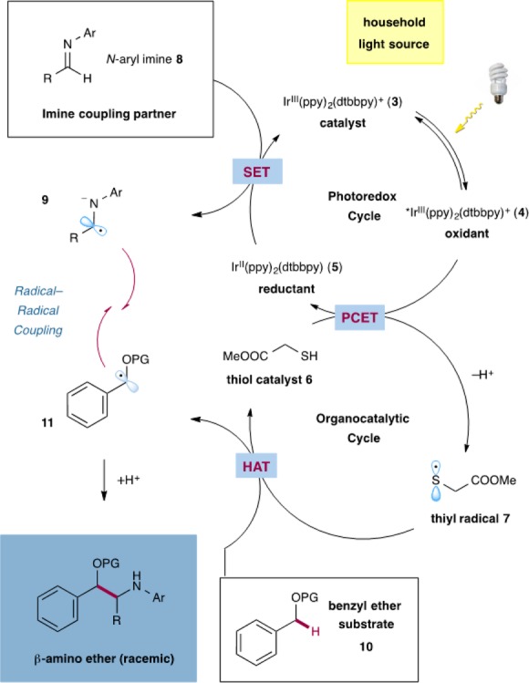 Scheme 1