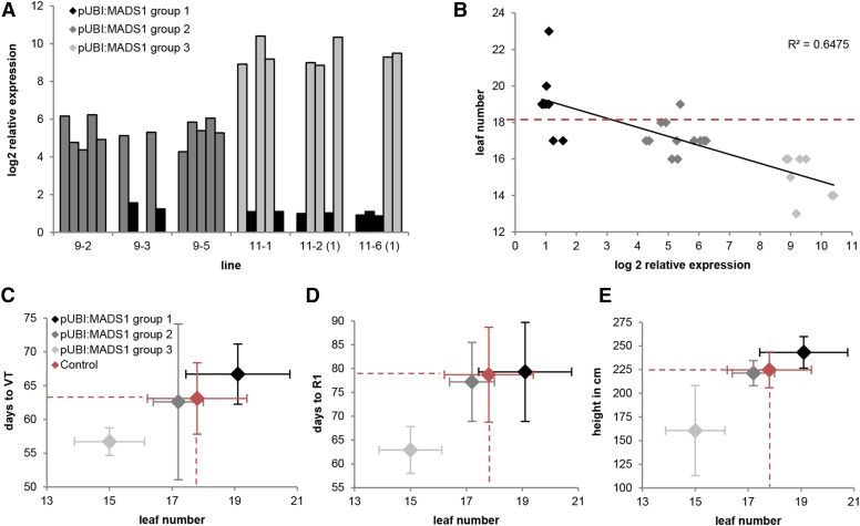 Figure 6.