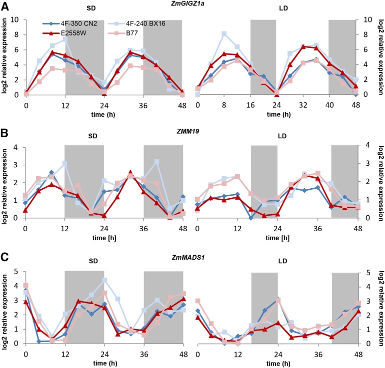 Figure 4.