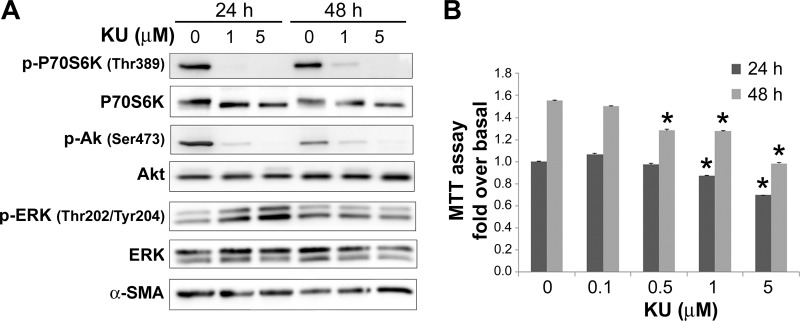 Fig. 10.