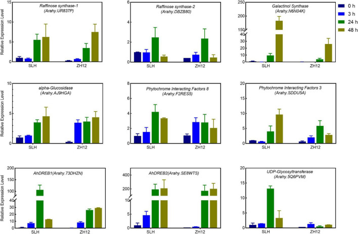 FIGURE 4