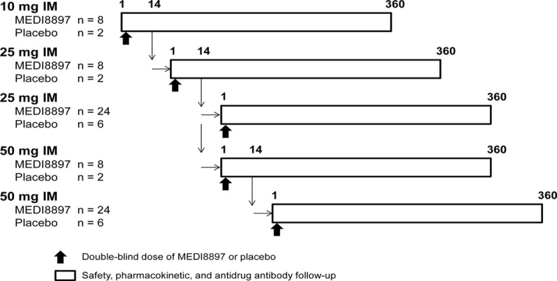 FIGURE 1.