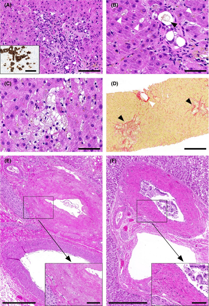 FIGURE 4