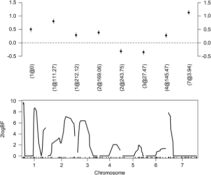 Figure 5.—