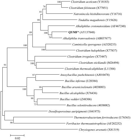 FIG. 8.