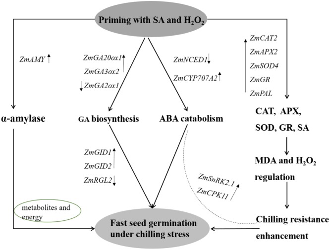 FIGURE 9