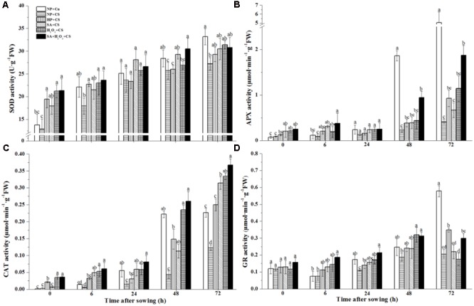 FIGURE 4