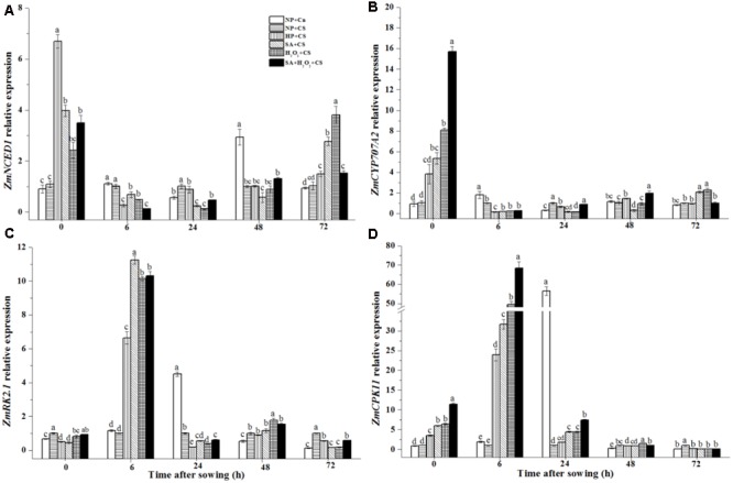 FIGURE 7