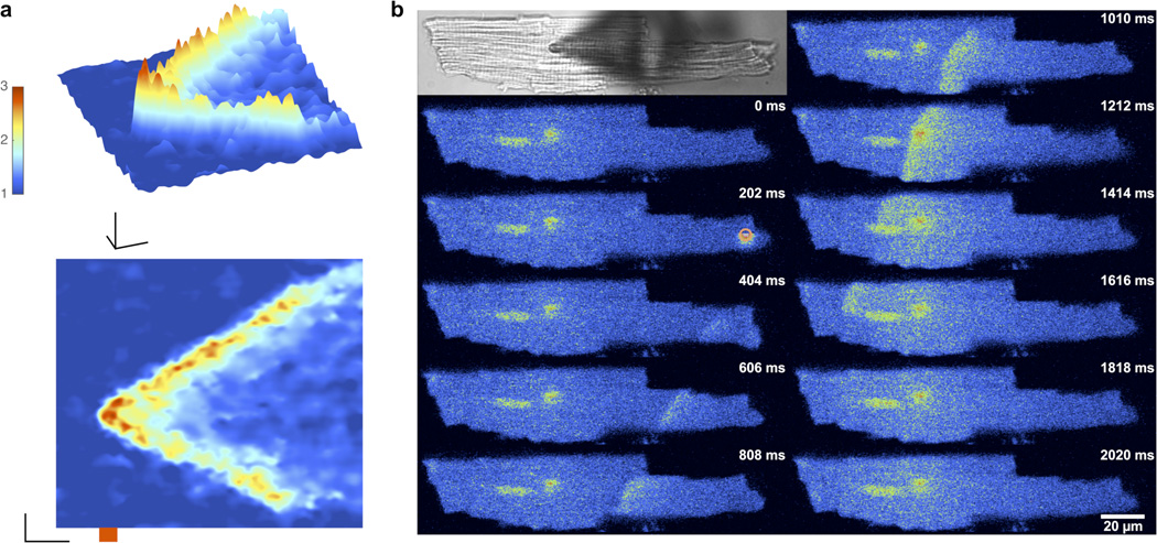 Figure 4