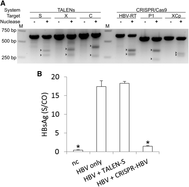 Figure 2