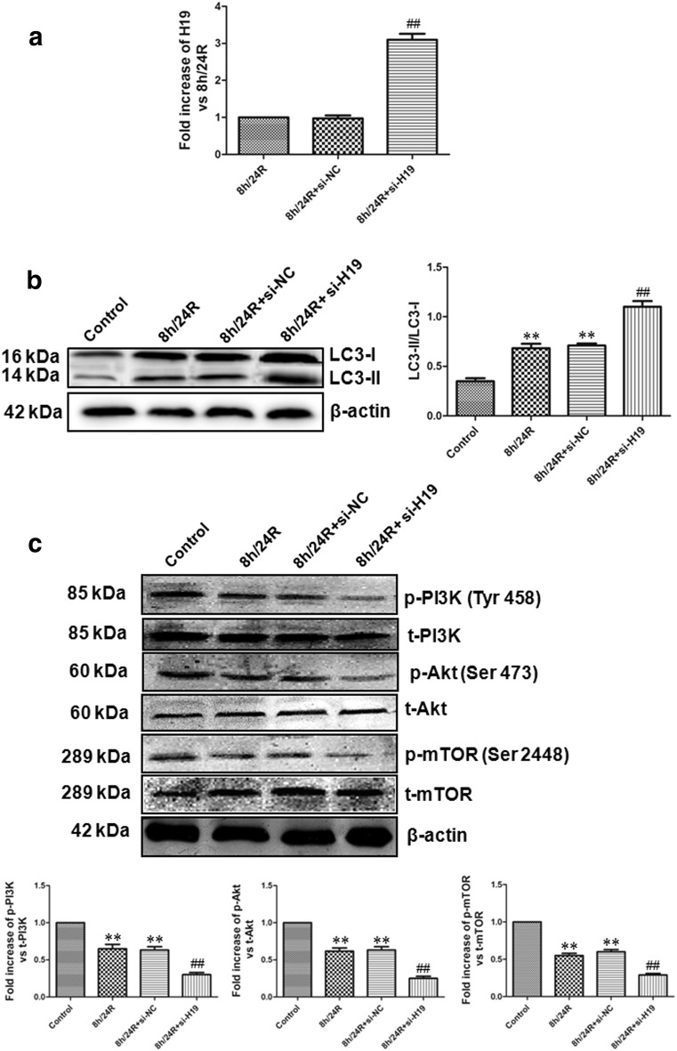 Fig. 6